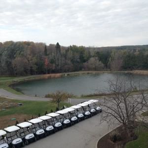 Meet your Posher, Anne